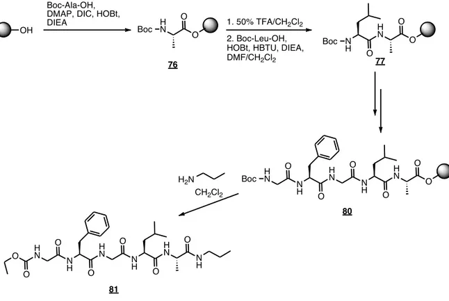 Figure  40.  Synthèse  sur  support  solide  du  pentapeptide  modèle  81  sans  sulfahydantoïne 