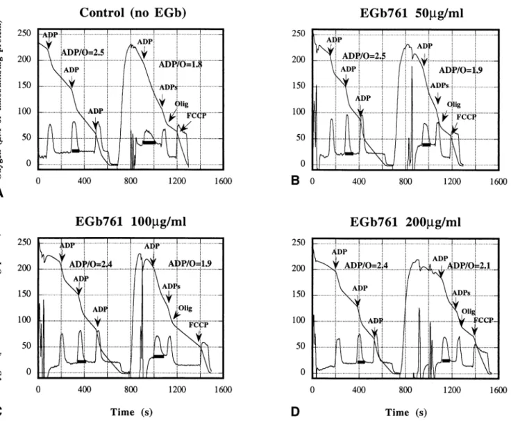 Fig. 2. Effects of EGb 761 on the respiratory functions of rat liver mitochondria after anoxia/reoxygenation
