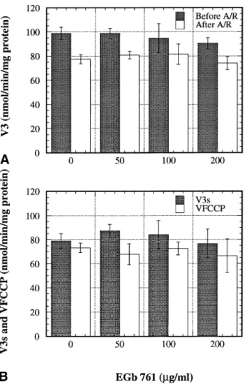 Fig. 4. Effects of EGb 761 on resting respiration rate and ADP/O ratio before and after anoxia/reoxygenation (A/R)