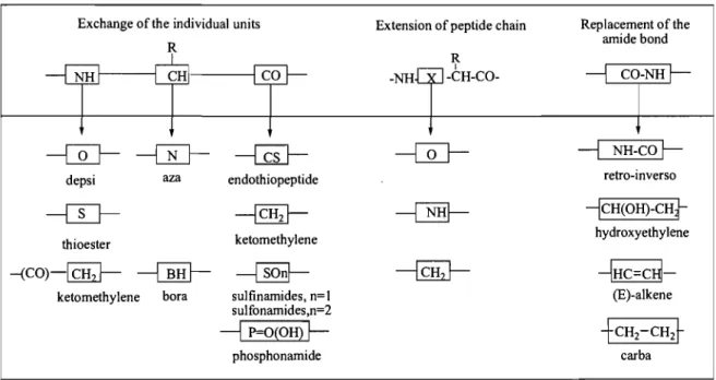Table 1.1  The most frequent modifications of the peptide backbone.' , 