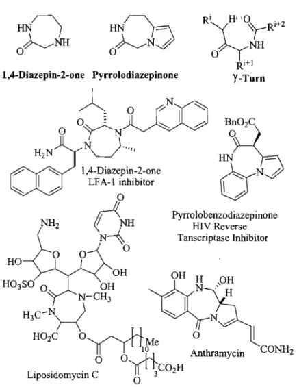 Figure 2.1  Representative 1,4-diazepin-2-one and pyrrolo-diazepinone systems and related  biologically active structures