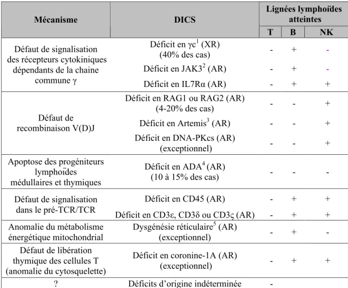 Tableau II : Les différents DICS.  Lignées lymphoïdes   atteintes  Mécanisme  DICS  T  B  NK  Déficit en γc 1  (XR)  (40% des cas)     -   +   - 