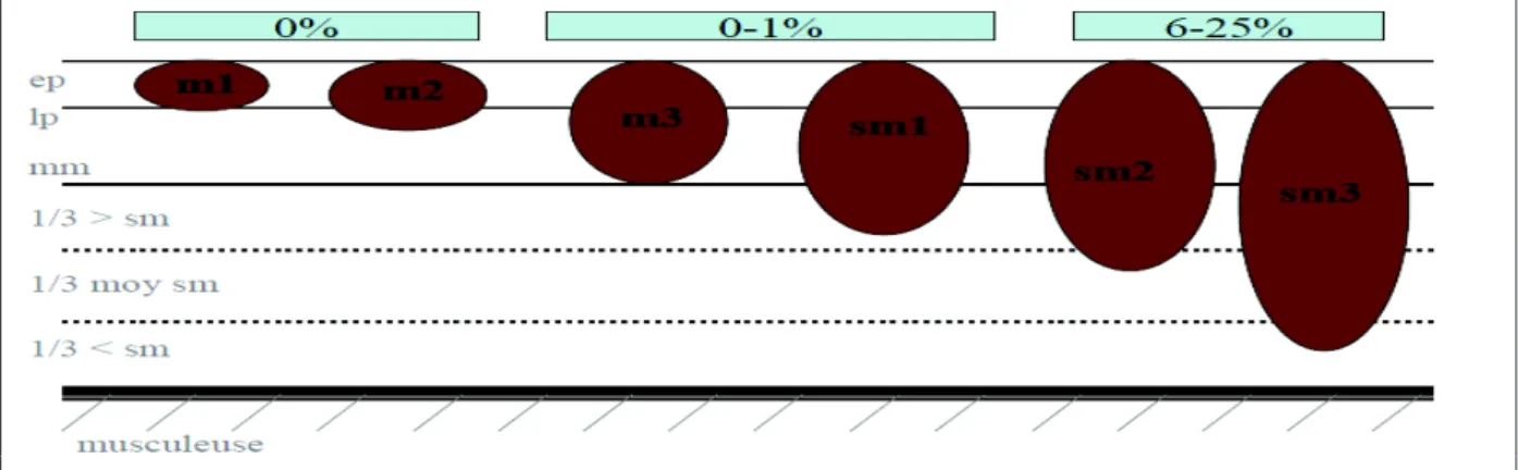 Figure  4.  Risque  d’envahissement  ganglionnaire  en  fonction  de  la  profondeur  d’infiltration pariétale pour les lésions non pédiculées (d’après Barthet et al