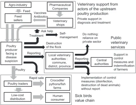 Fig. 2. Mentioned choices operated by poultry farmers and government veterinarians interviewed during the 2012 – 2013 survey on the perceived value of the HPAI passive surveillance system in Vietnam when facing disease suspicion (grey arrow: commercial lin