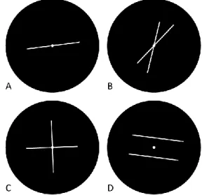 Figure 1. The 4  types of contour configurations used in Experiment 1: (A) a single contour, (B) a  30° X-junction, (C) a perpendicular X-junction, and (D) a pair of parallel contours