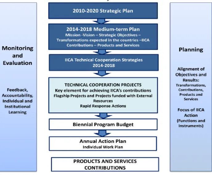 Figure 5.  The Institute’s planning, programming, monitoring and evaluation  system 