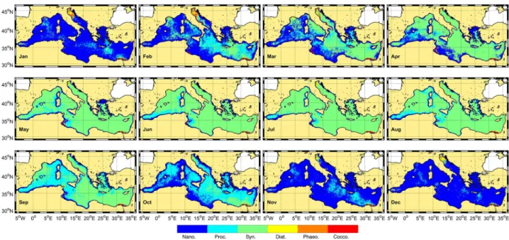 Figure 1. Climatologie mensuelle des groupes phytoplanctoniques dominants détectés par P HYSAT - -M ED   en  Méditerranée  (janvier  1998  -  décembre  2015;  d’après  Navarro  et  al.,  2017)