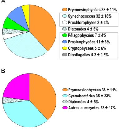 Figure 5. Contribution relative (%) des groupes phytoplanctoniques à la biomasse totale annuelle  (moyennes  annuelles  et  écarts-types)  à  la  station  Tête  de  canyon  au  cours  de  l’année  2015  (mesures de subsurface, n = 48)