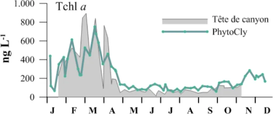Figure  6.  Variations  annuelles  (janvier - décembre  2015)  de  la  Tchl a  in  situ  (subsurface,  mesures  HPLC)  à  la  station  P HYTO C LY   (point  de  suivi  DCE,  58  échantillons)  et  au  point  Tête  de  canyon  (48  échantillons) - Baie de C