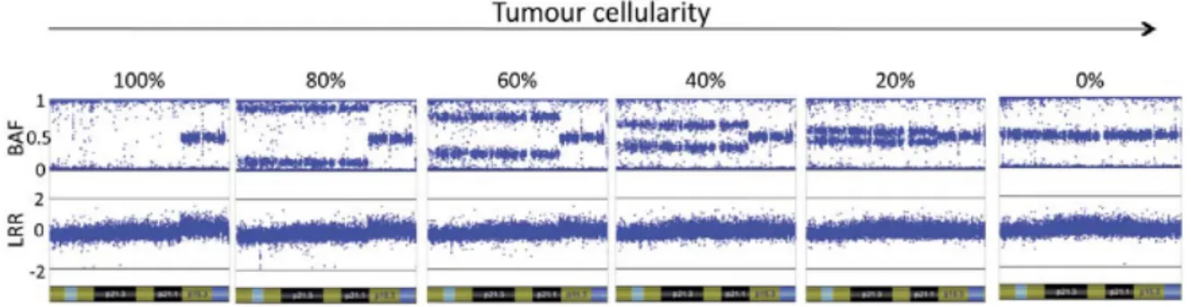 Figure 13. Variation de la BAF et du Log R ratio en fonction du pourcentage de cellules  anormales