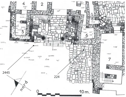 Fig. 4 - Entrée du Palais royal.