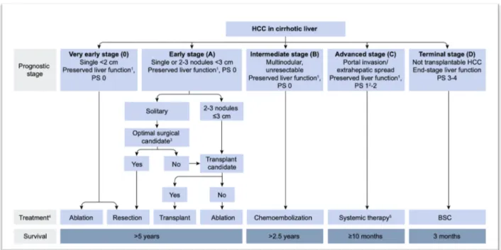 Figure 2. Algorithme de prise en charge du CHC selon la BCLC (Barcelona Clinic Liver Cancer) adapté à la  stratégie thérapeutique recommandée par l’EASL (European Association for the Study of the Liver) (3)