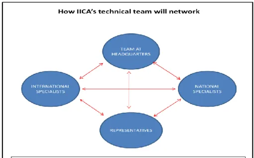 Figure 2.  Networking among IICA’s technical teams 