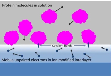 Figure 6: Biomolecules immobilization on plasma treated through covalent bond formation  on the surface containing free electrons
