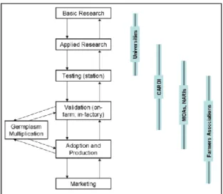 Figure 3:   Research Development and Application Chain 