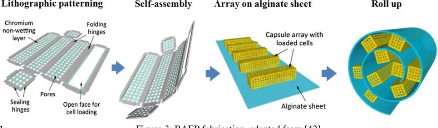 Figure 3: BAEP fabrication, adapted from [42] 