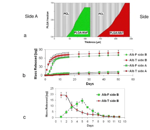 Figure 8: PCL-PLGA scaffold for the sequential release of proteins. (A) Illustration of the compositional  668 