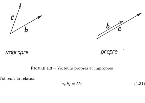 Figure 1.3  Vecteurs propres et impropres d'obtenir la relation