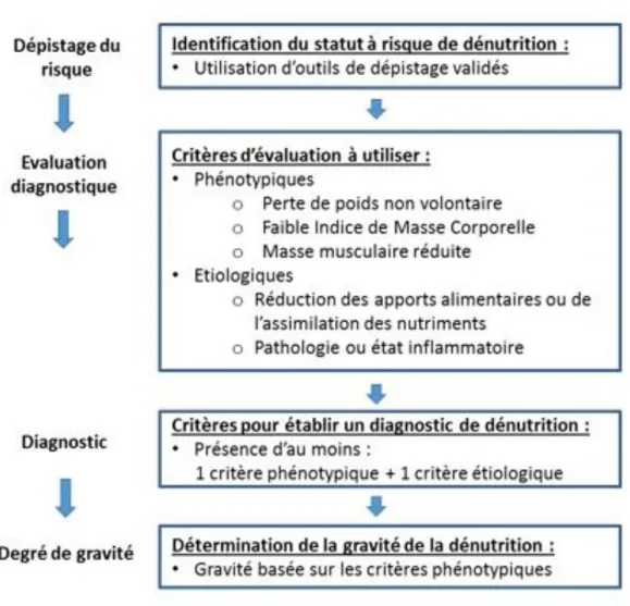 Figure  1 :  Stratégie  de  dépistage  et  de  diagnostic  établie  par  le  GLIM  (Global  Leadership  Initiative  on  Malnutrition)(19) 