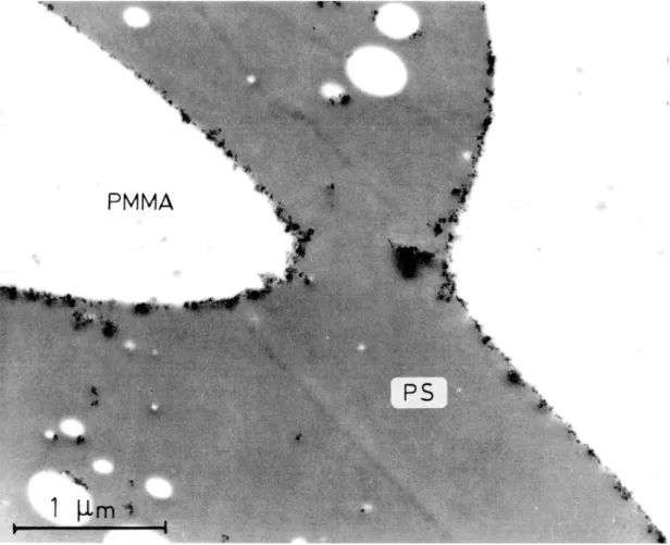 Figure 1. TEM micrograph of a 50/50 PS/PPMA blend filled with 2 wt% BP1000. The white nodules are PMMA sub-inclusions in the PS phase.