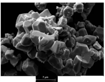 Fig. 5 The SEM micrographs with high magni ﬁ cation of Li 2 Co(WO 4 ) 2 .