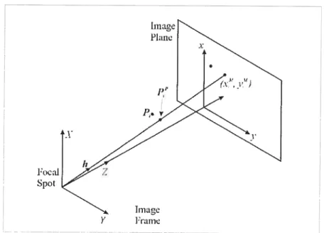 Figure 2.3 The point positions, P, are projected onto their rcpectivc perspective projection une, from the focal spot to the {x1Al M 1T, at the positions P,”.