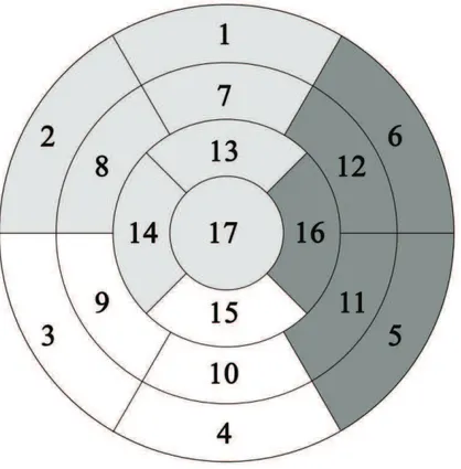 Figure 2 : Segments myocardiques selon lAHA 