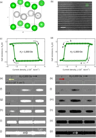 FIG. 1. Current-induced magnetization switching in the L1 0 FePt single layer. (a) Crystal structure of L1 0 FePt