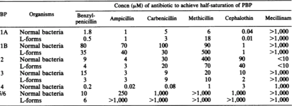TABLE 2. Concentration of 3-lactam antibiotics necessary to achieve half-saturation of the PBPs of P.