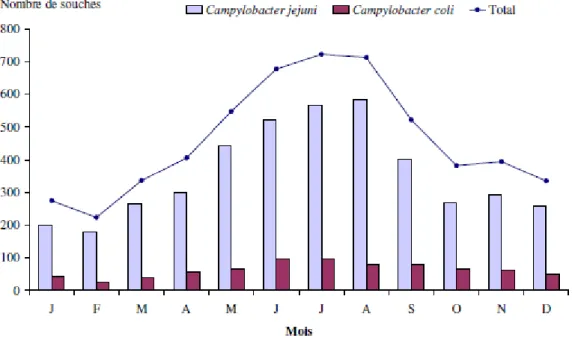 Figure 4 - Nombre d'isolements de Campylobacter (et bactéries apparentées) selon le mois de  prélèvement de l'échantillon biologique et l'espèce, France 2011, d’après (28) 
