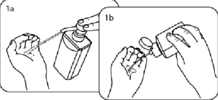 Figure 5 - Technique de lavage des mains avec une solution hydro-alcoolique, d'après Pittet (39) 