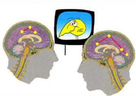 Figure  5:  Le  cerveau  de  deux  personnes  qui  observent  la  même  image  ne  réagit  pas  de  la  même façon [30]