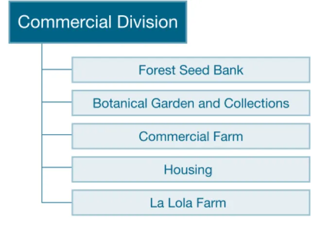 Figure 7.1  Commercial Division components