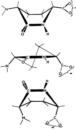 FIGURE  5.  D,D-Diaminoadipic acid lactam. 