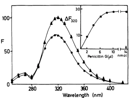 FIGURE  7.  Emission  spectrum  of  (A)  R61 enzyme  (95%  pure,  2 ml  of  26.5  pg/ 