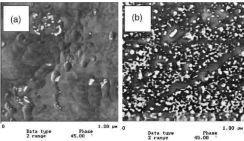 Fig. 3. AFM-images (phase contrast) of PnBuA–b–PS chains tethered at a stainless steel surface: (a) from THF  and (b) from n-butanol