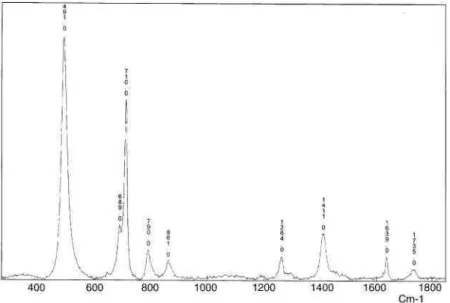 Fig. 8. Raman spectrum of the PDMS coating electrografted in DMF. 