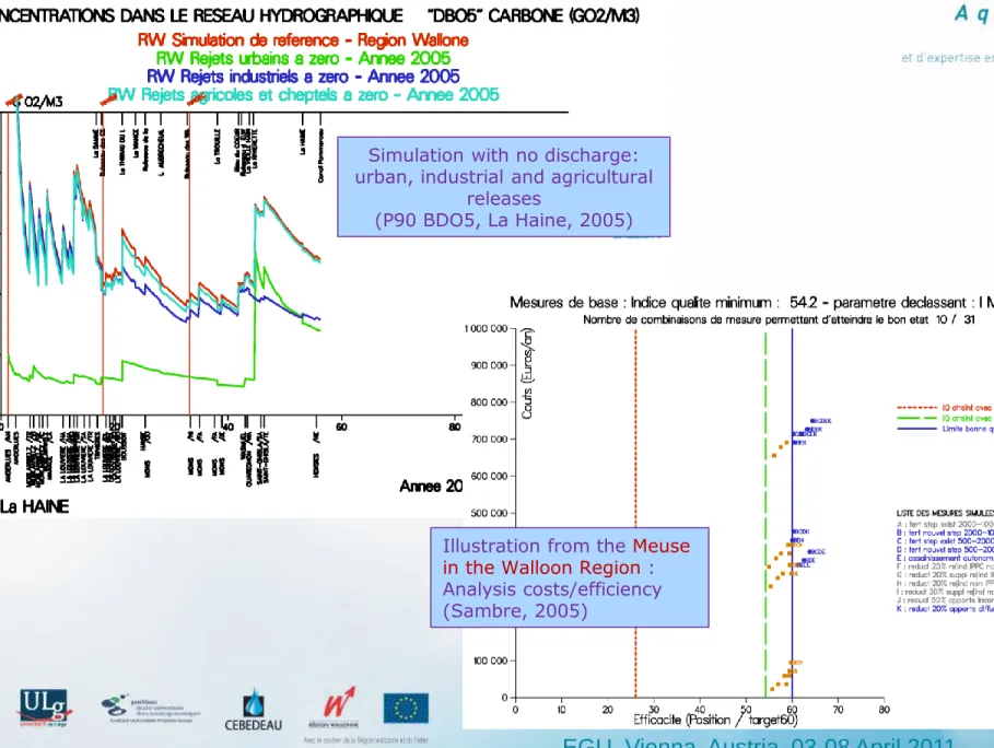 Illustration from the Meuse  in the Walloon Region :   Analysis costs/efficiency  (Sambre, 2005) 