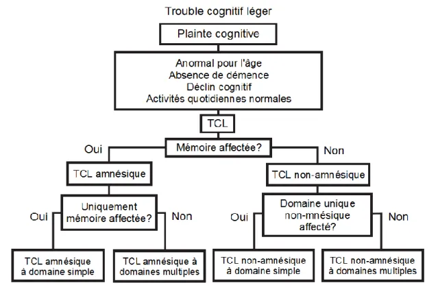 Figure 1. Arbre décisionnel modifié et traduit de Petersen (2004). 