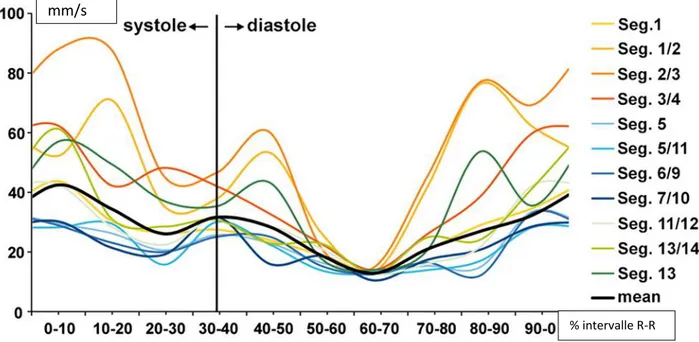 Figure 2. Vitesse de déplacement en mm/s des différents segments coronaires  en fonction du cycle d’après Husmann et al
