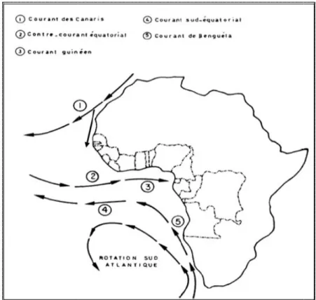 Fig. 3: les principaux courants marins circulant sur la façade atlantique ouest africaine