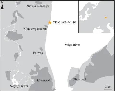 Figure 1. Localization of the section where YKM 68249/1-10 is derived. YKM 68249/1-10 was found in a large pyrite nodule; its precise position within the section (which only contains the Speetoniceras versicolor Zone) is unknown.