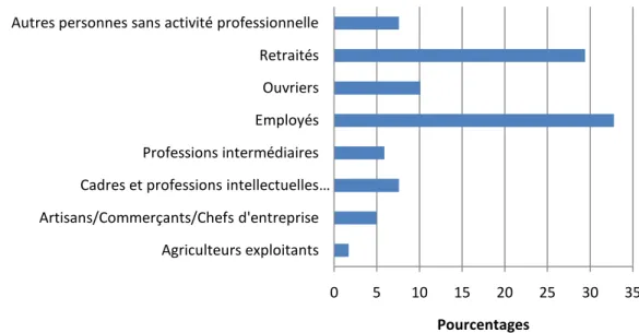 Figure 3 : Répartition des patients selon leur catégorie socio-professionnelle 