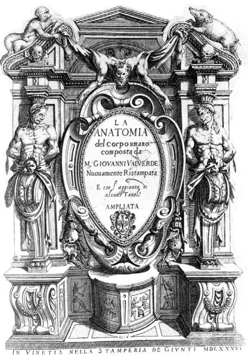 Figure 4 Anatomia del corpo humano de Juan Valverde de Amusco, Bibliotheca Angelica, Rome, 1586 Source : Wikimedia Commons - Wellcome blogspot