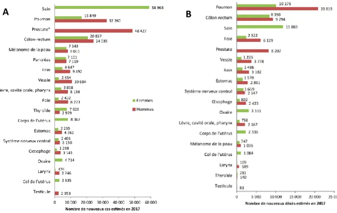 Figure 1 _ Classement des tumeurs solides par incidence (A) et mortalité (B) estimé en 2017 en France  métropolitaine selon le sexe (1) 