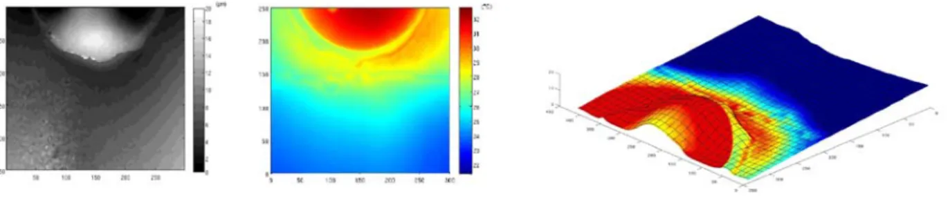 Figure 2 Interferograms obtained with thermal infrared ESPI after heating of the helicopter composite structure 