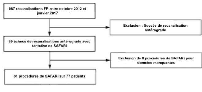 Figure 13 Flowchart de la population incluse 