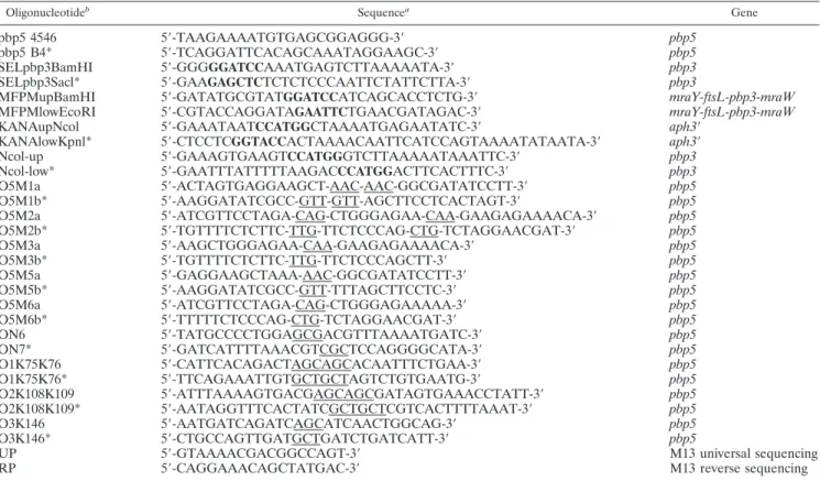 FIG. 1. SDS-PAGE and fluorogram of the membrane-bound PBPs of different E. hirae strains