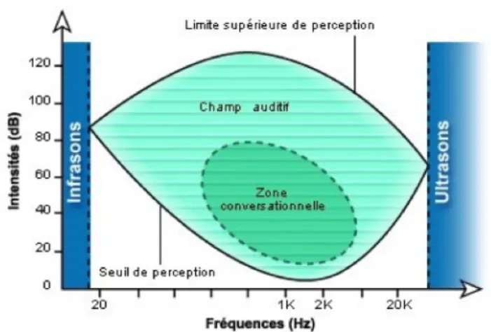 Figure 6 - Champ auditif humain 
