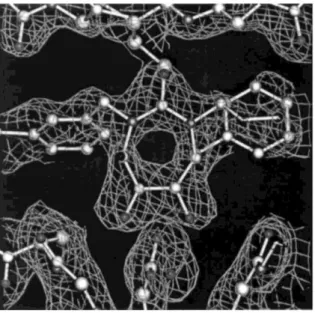 Fig. 5. Initial 2Fo-Fc of mutant HIV protease complexed with cyclic area based inhibitor